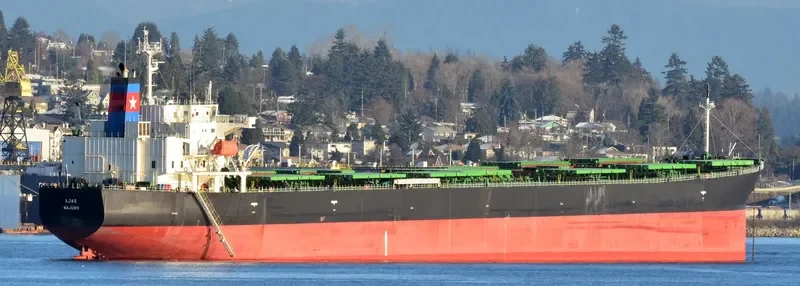 ALFA Bulk Carrier IMO 9296808 photo 10