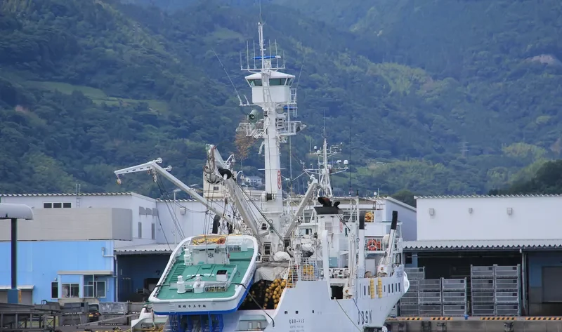 GENPUKU MARU NO.81 General Cargo IMO 9296896 photo 2