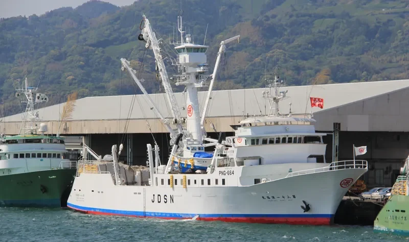 GENPUKU MARU NO.81 General Cargo IMO 9296896 photo 4