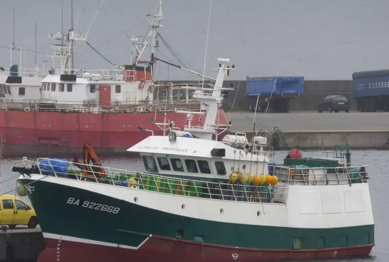 GLORIEUSE IMMACULEE III General Cargo IMO 9296901