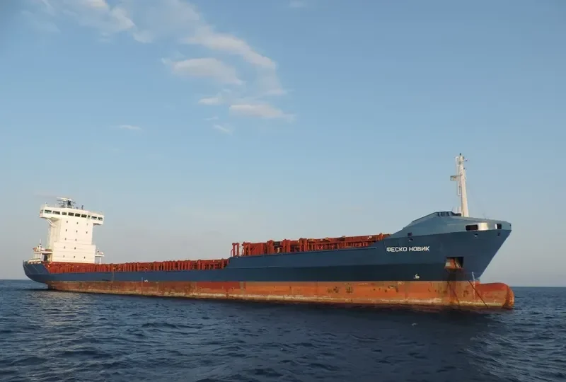FESCO NOVIK Container Ship IMO 9296987 photo 8