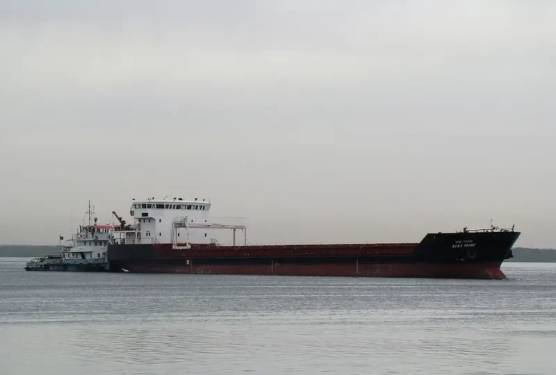 NEVADO 31 General Cargo IMO 9297113