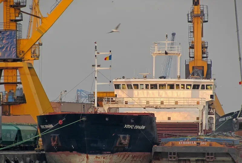 NEVADO 31 General Cargo IMO 9297113 photo 3