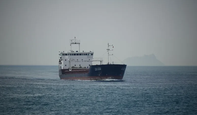 NEVADO 31 General Cargo IMO 9297113 photo 8
