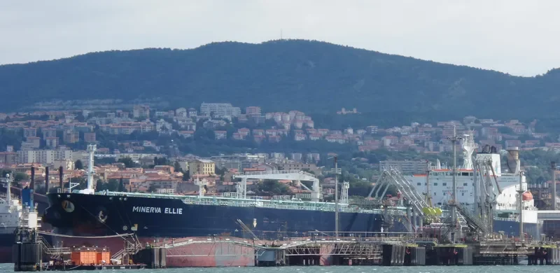 MINERVA ELLIE Tanker IMO 9297321 photo 7