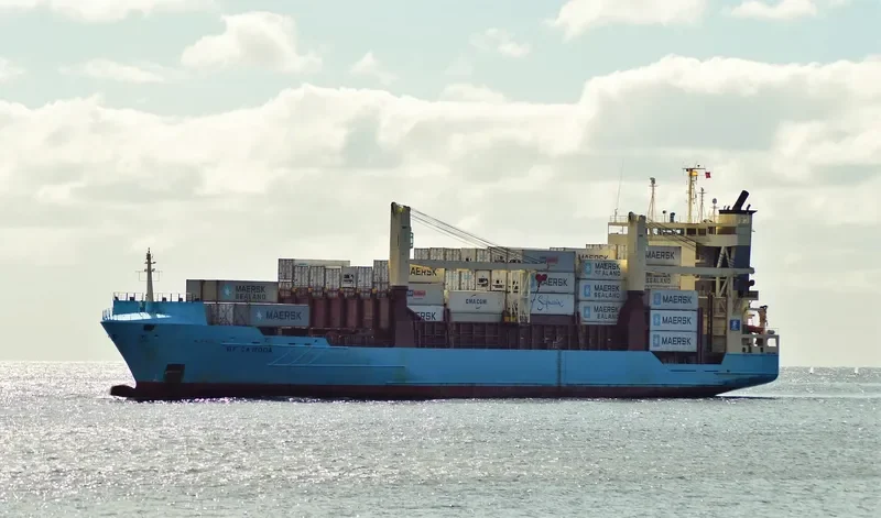 BF CARODA Container Ship IMO 9297618