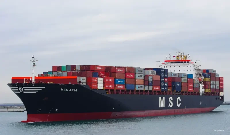MSC ANYA Container Ship IMO 9297864