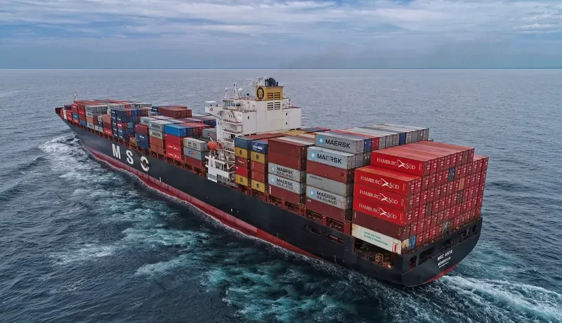 MSC ANYA Container Ship IMO 9297864 photo 2