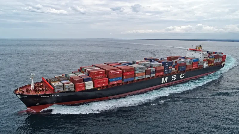 MSC ANYA Container Ship IMO 9297864 photo 4