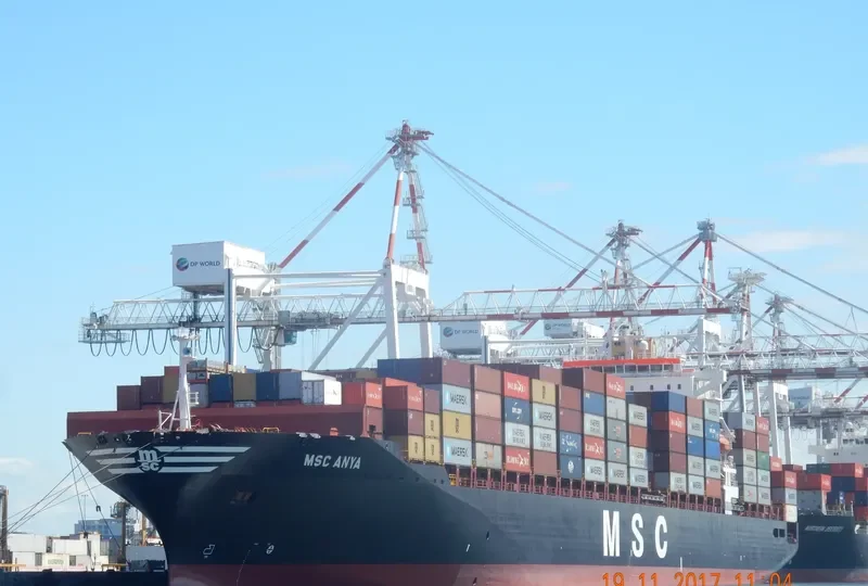 MSC ANYA Container Ship IMO 9297864 photo 5