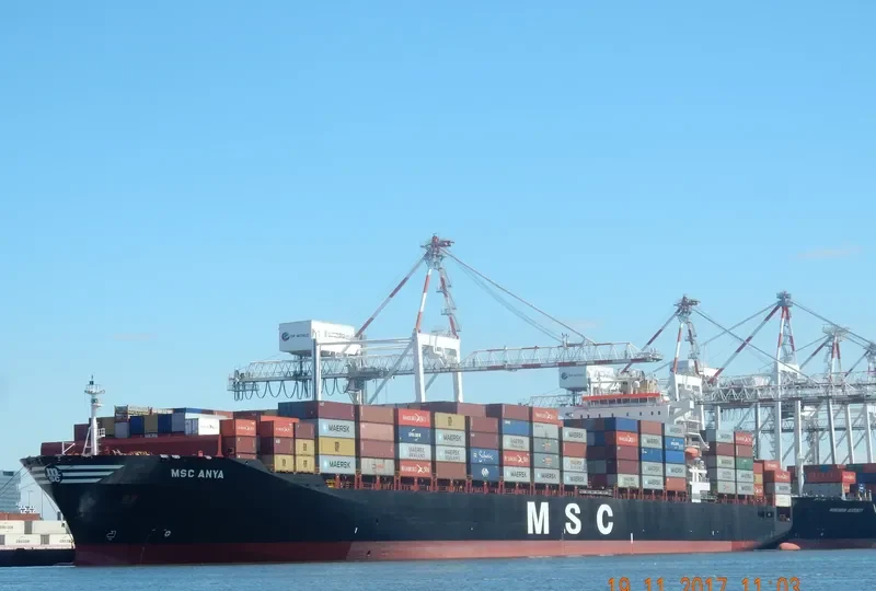 MSC ANYA Container Ship IMO 9297864 photo 6