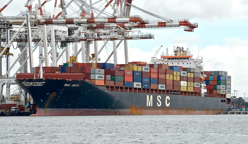 MSC ANYA Container Ship IMO 9297864 photo 7