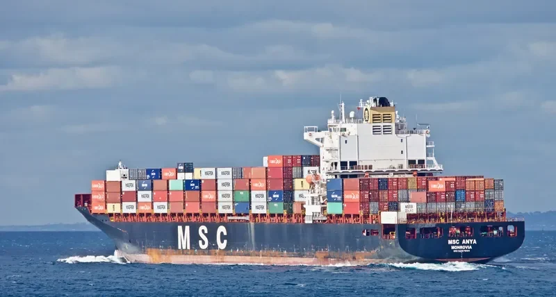 MSC ANYA Container Ship IMO 9297864 photo 8