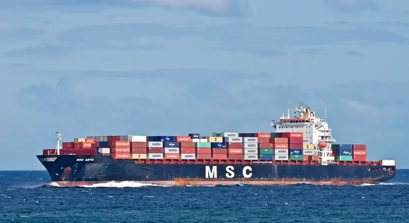 MSC ANYA Container Ship IMO 9297864 photo 9