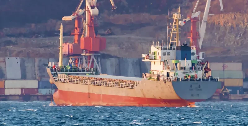 RUN SHENG Bulk Carrier IMO 9297917