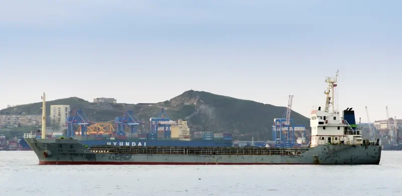 RUN SHENG Bulk Carrier IMO 9297917 photo 2