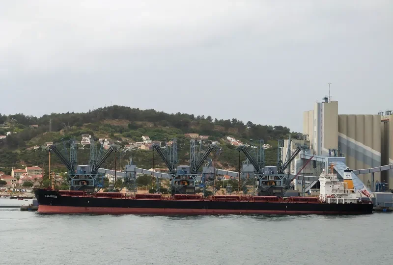CALIPSO Bulk Carrier IMO 9297929