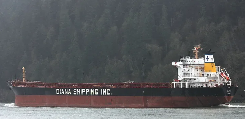 CALIPSO Bulk Carrier IMO 9297929 photo 3