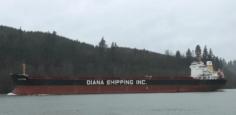 CALIPSO Bulk Carrier IMO 9297929 photo 4