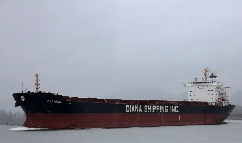 CALIPSO Bulk Carrier IMO 9297929 photo 5