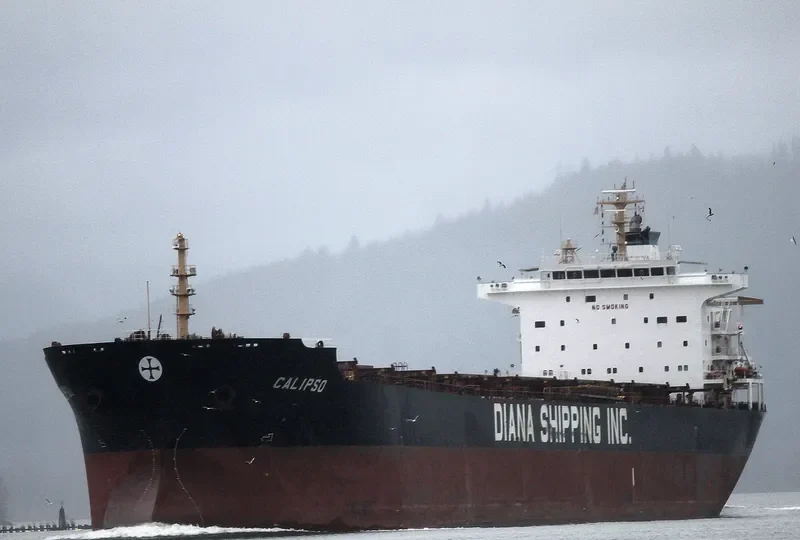 CALIPSO Bulk Carrier IMO 9297929 photo 6