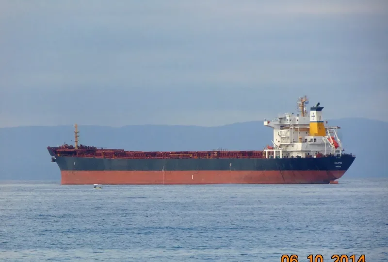 CALIPSO Bulk Carrier IMO 9297929 photo 14
