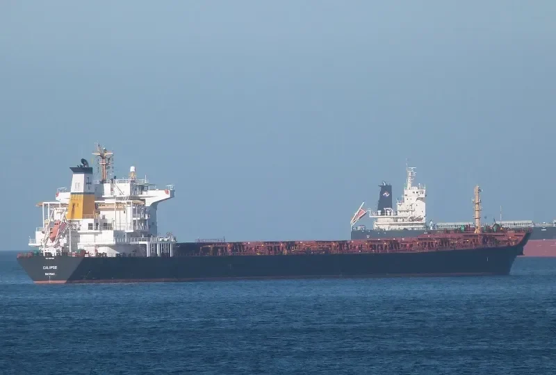 CALIPSO Bulk Carrier IMO 9297929 photo 15