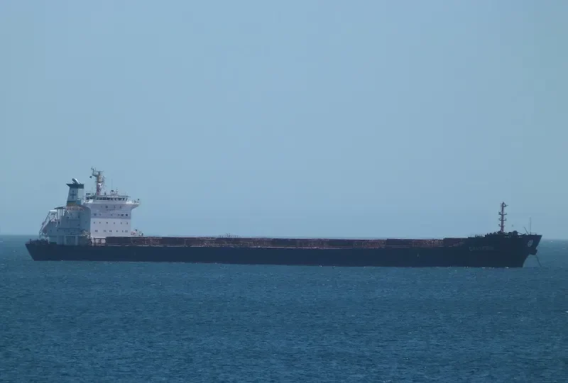 CALIPSO Bulk Carrier IMO 9297929 photo 28