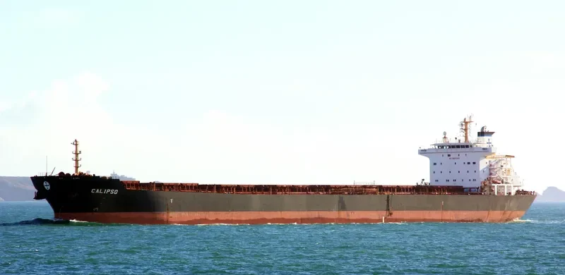 CALIPSO Bulk Carrier IMO 9297929 photo 30