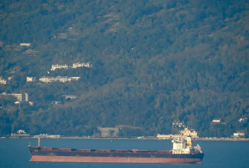 HARVEST Bulk Carrier IMO 9297931