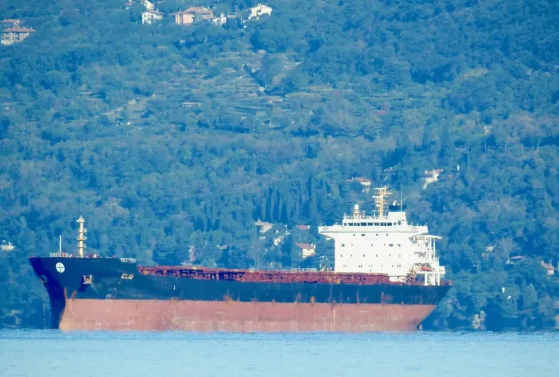 HARVEST Bulk Carrier IMO 9297931 photo 2