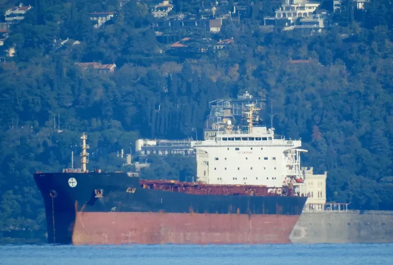 HARVEST Bulk Carrier IMO 9297931 photo 3