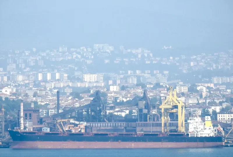 HARVEST Bulk Carrier IMO 9297931 photo 4
