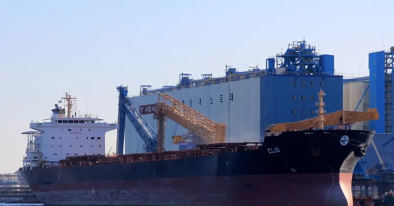 HARVEST Bulk Carrier IMO 9297931 photo 20