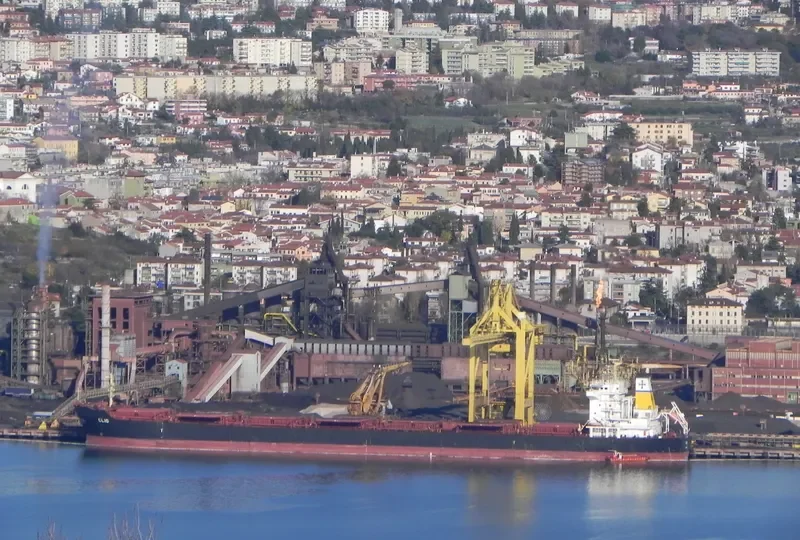 HARVEST Bulk Carrier IMO 9297931 photo 27
