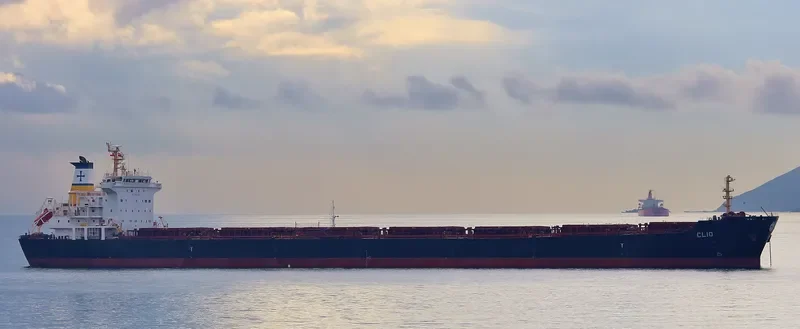 HARVEST Bulk Carrier IMO 9297931 photo 33