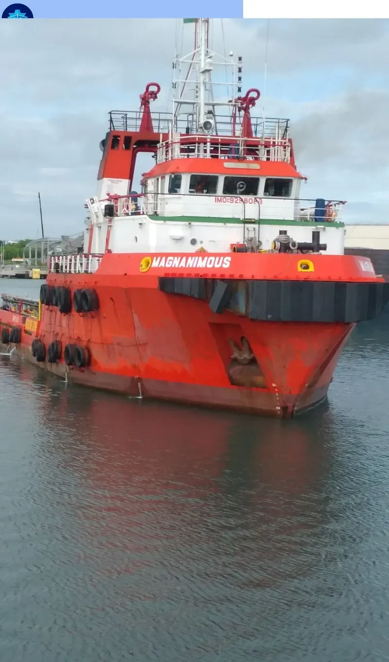 MAGNANIMOUS General Cargo IMO 9298088 photo 3