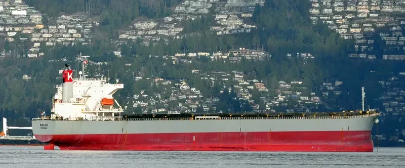 DOLCE Bulk Carrier IMO 9298258