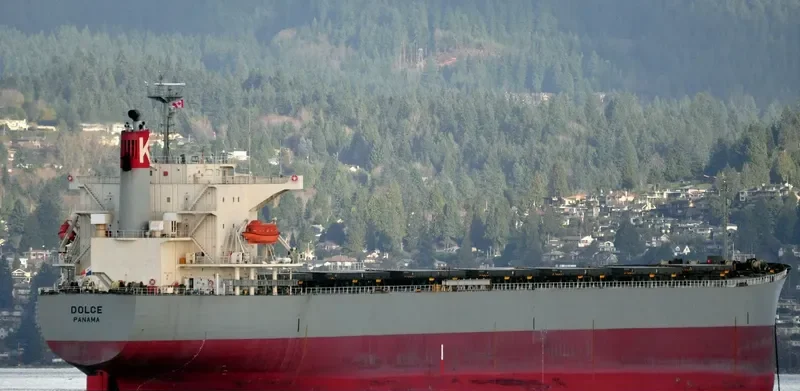 DOLCE Bulk Carrier IMO 9298258 photo 2
