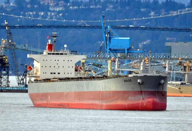 DOLCE Bulk Carrier IMO 9298258 photo 3