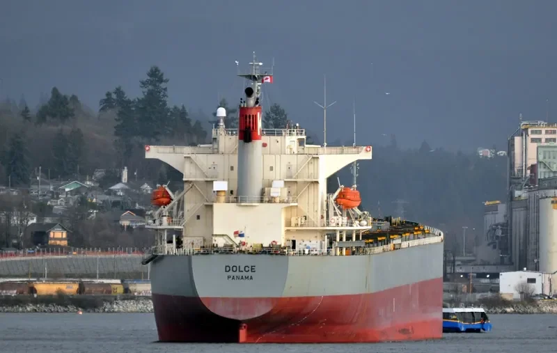 DOLCE Bulk Carrier IMO 9298258 photo 4
