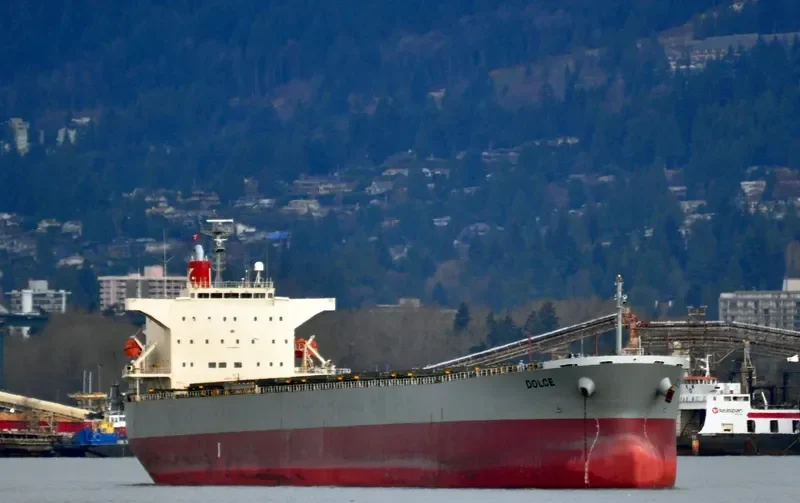 DOLCE Bulk Carrier IMO 9298258 photo 5