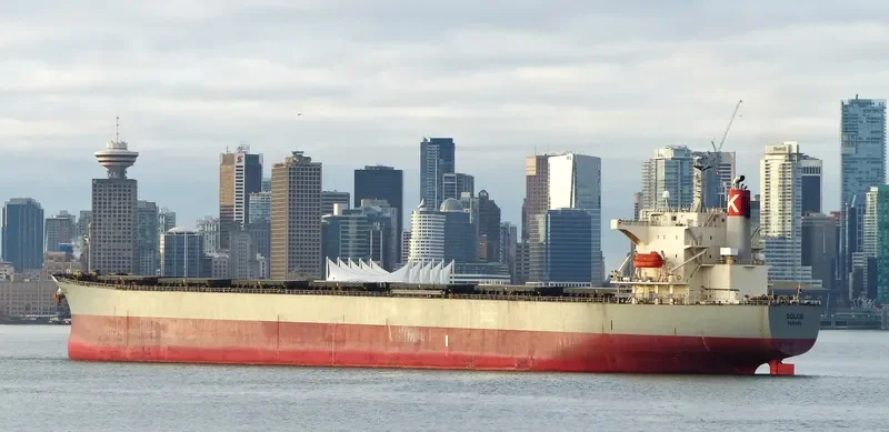 DOLCE Bulk Carrier IMO 9298258 photo 6