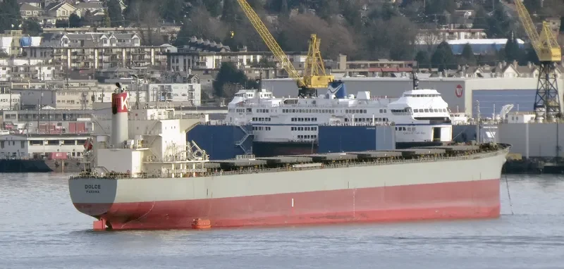 DOLCE Bulk Carrier IMO 9298258 photo 7
