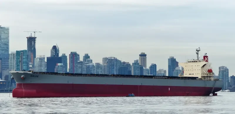 DOLCE Bulk Carrier IMO 9298258 photo 8