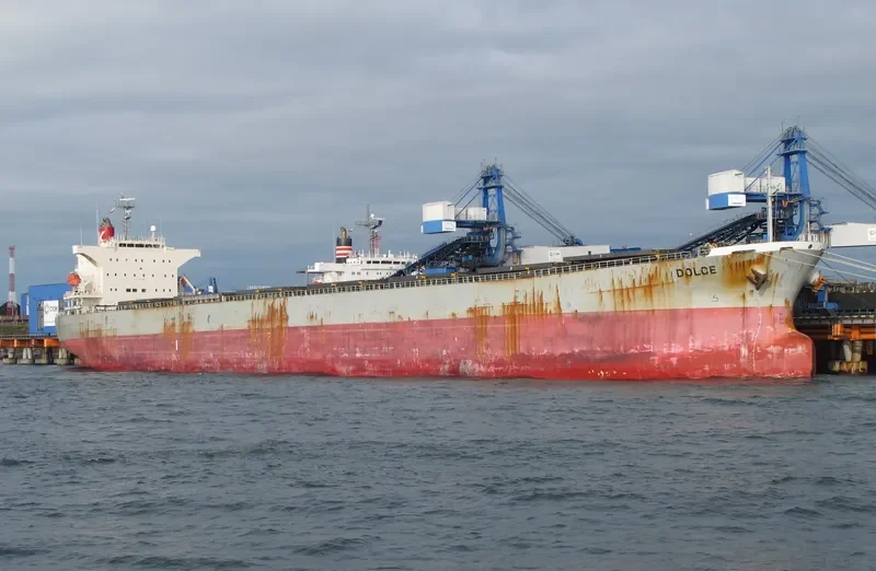 DOLCE Bulk Carrier IMO 9298258 photo 9