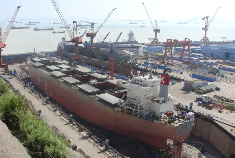 DOLCE Bulk Carrier IMO 9298258 photo 10