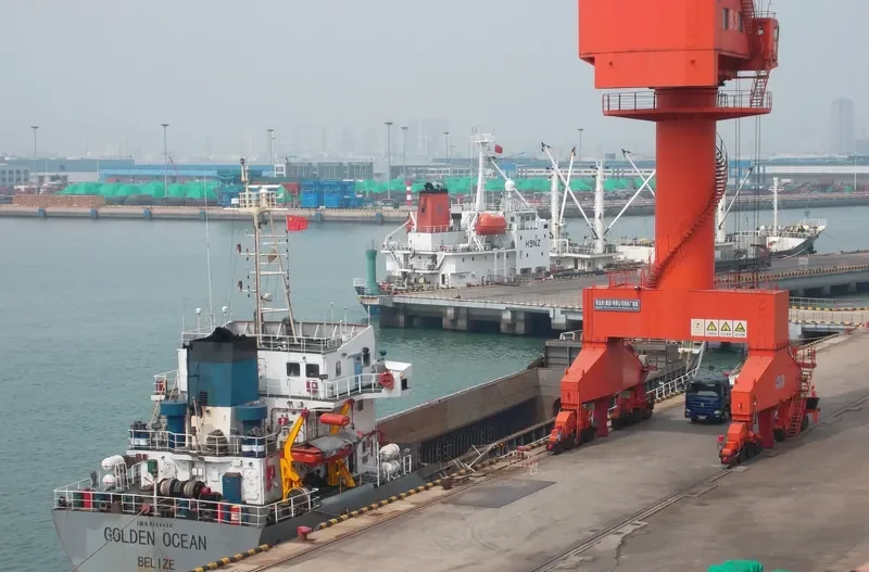 GOLDEN OCEAN Bulk Carrier IMO 9298428