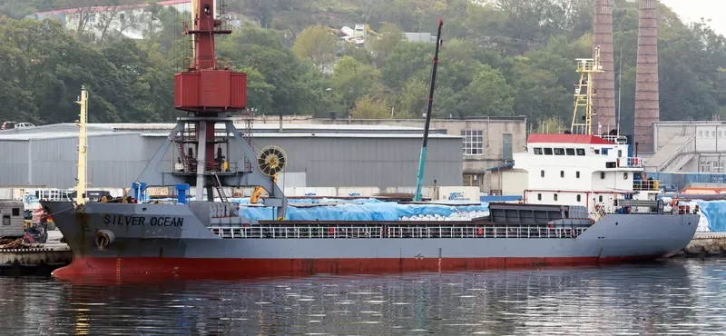 SILVER OCEAN Bulk Carrier IMO 9298430 photo 3