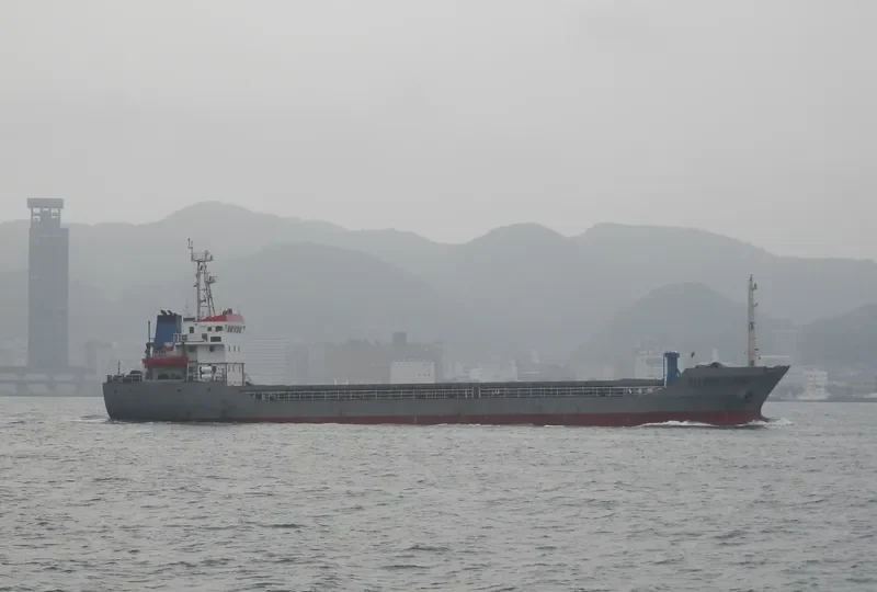 SILVER OCEAN Bulk Carrier IMO 9298430 photo 6